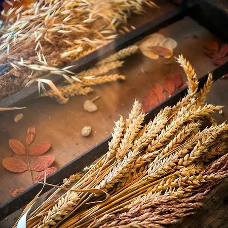 Casa de Campo Aguas Frias Ii *