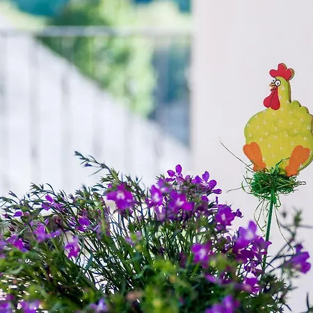 Casa de Campo Aguas Frias Ii La Omañuela