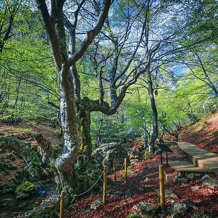 Aguas Frias Ii * La Omañuela