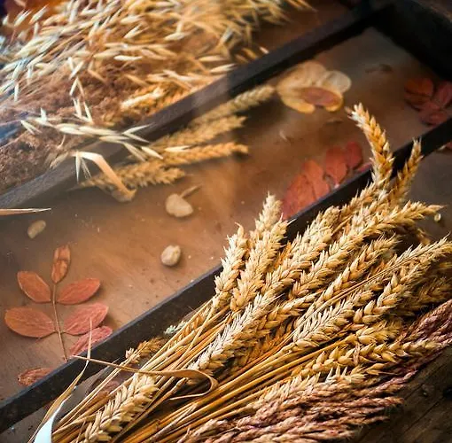 컨트리하우스 Aguas Frias Ii *