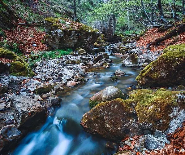 컨트리하우스 Aguas Frias Ii *