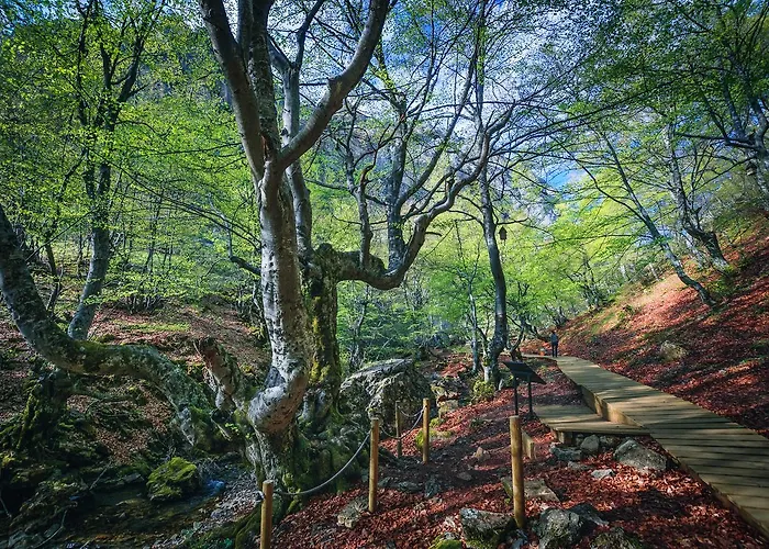 Aguas Frias Ii * La Omañuela